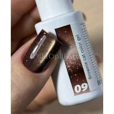 Iperfect Brownie cat color gel 10g - 09