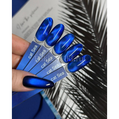 iperfect Гель-лак Sea cat color gel, 10g
