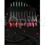 Iperfect Ruby cat color gel 10g - 08