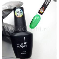 Vitrage Voice of Kalipso Gel Polish №05